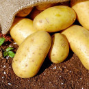Эксперт: цены на картофель резко вырастут в ноябре