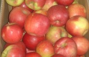 Польша: повышение спроса на яблоки сорта Айдаред