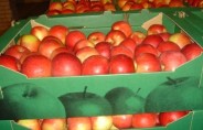 Польша: увеличение спроса на яблоки Айдаред