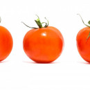 Ученые на Урале вывели томат с повышенным содержанием витаминов