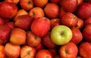 В Казахстане треть импортных яблок из Польши